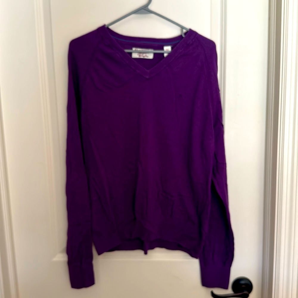 Purple penguin V-neck sweater